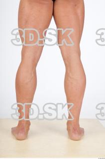 Leg texture of Dale 0002